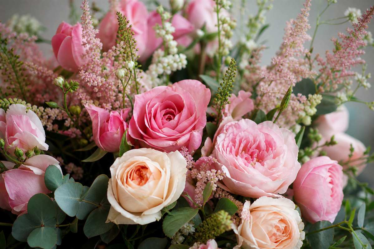 Pink roses with cool eucalyptus foliage